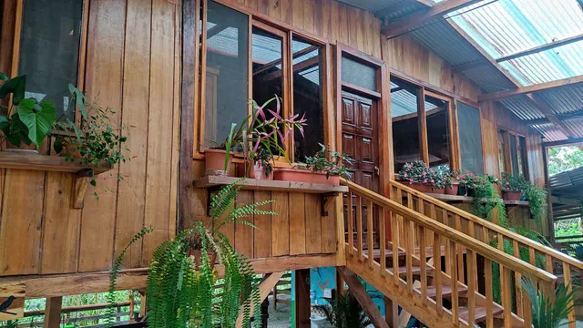 Las Montañas en Mindo