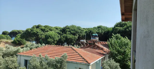 PEANUT VILLAGE BOARD of ALL FAMILY