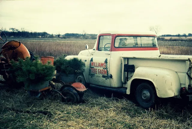 Williams Tree Farm