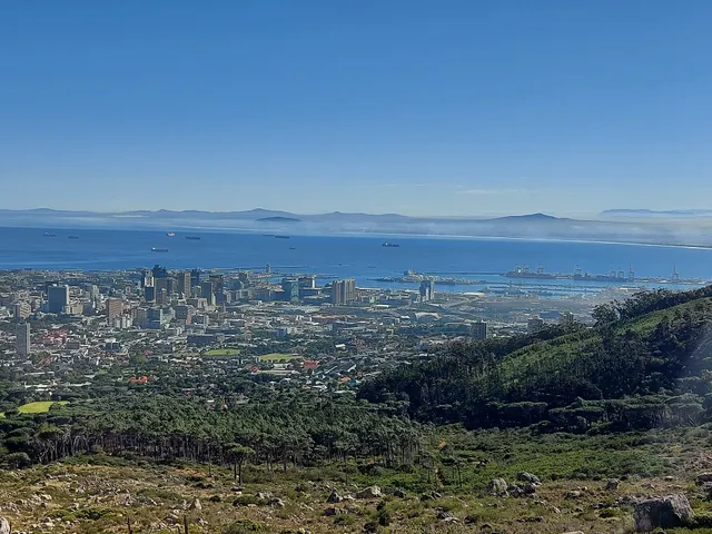 Table Mountain Road Viewing Bench