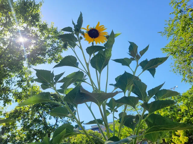 Stewart Recreation Center