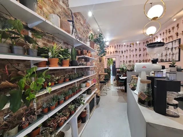 Urban Botanica