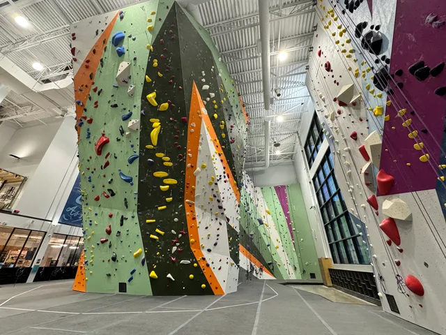 Movement Design District