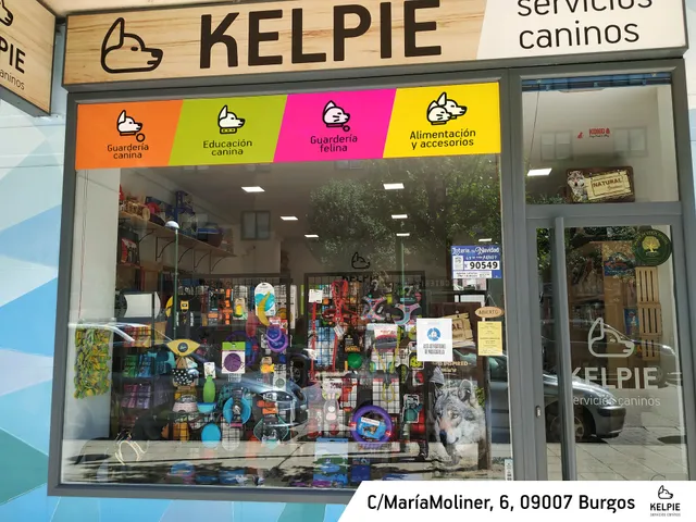 Kelpie Servicios Caninos