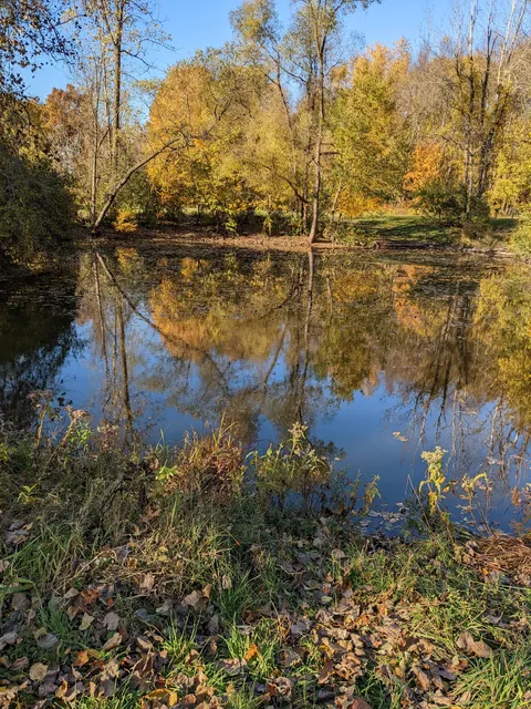 ViRA Disc Golf Course