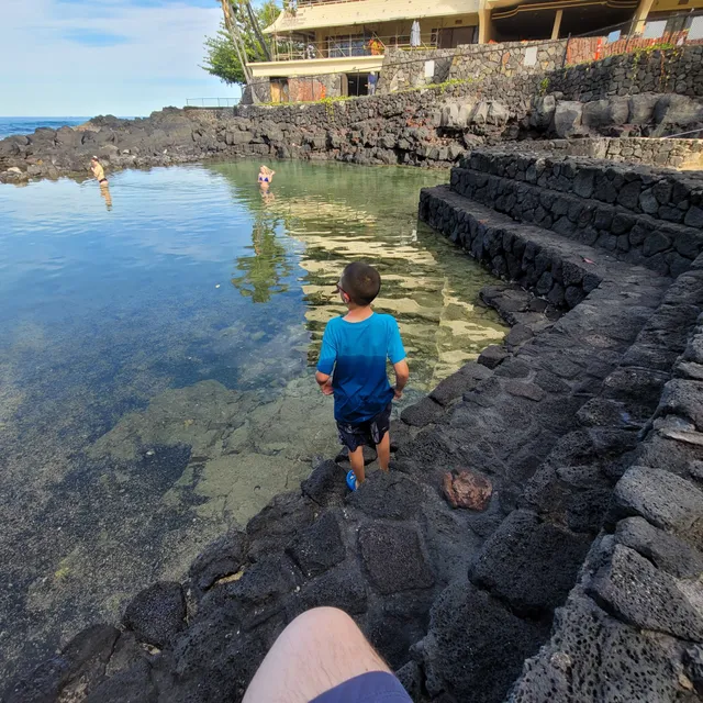 Tidal Pool