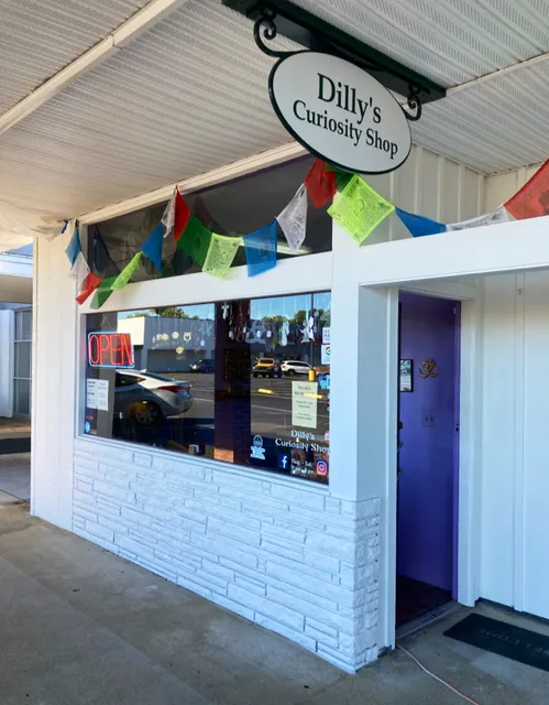 Dilly's Curiosity Shop