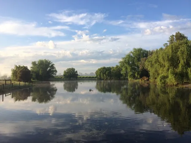 TREAND at Baxter Valley Estate