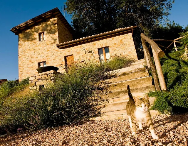 Agriturismo Ramusè | Truffle Hunting in Italy