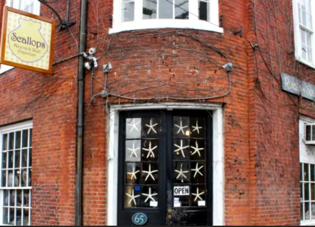 Scallops Mineral and Shell Emporium