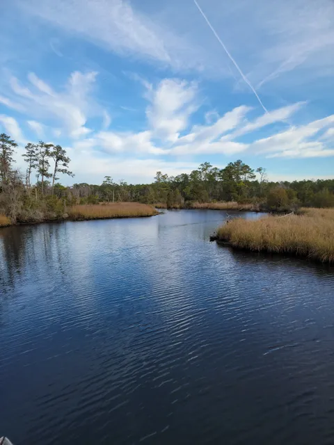 Latham-Whitehurst Nature Park