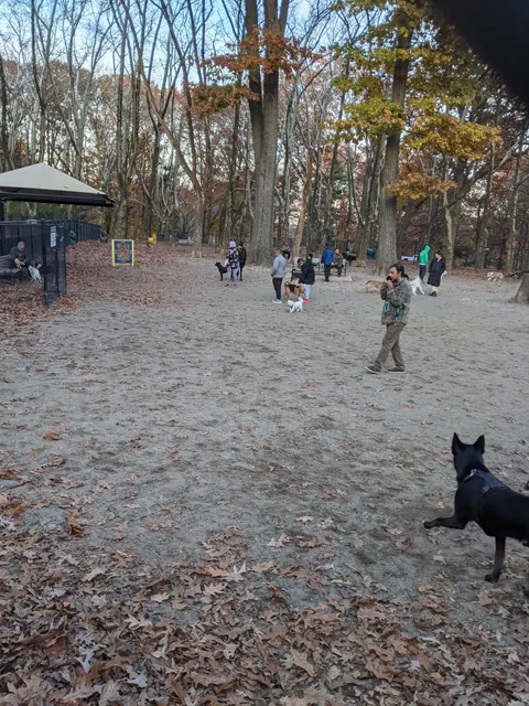 Brookdale Dog Park
