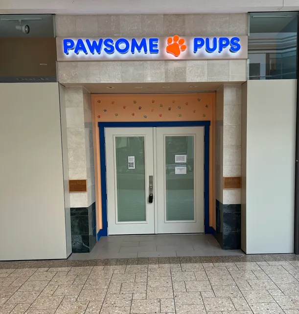 Pawsome Pups Puppies For Sale