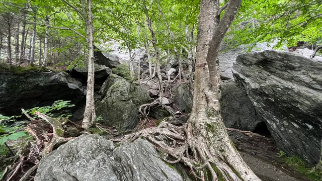 Smugglers' Notch Visitor Center