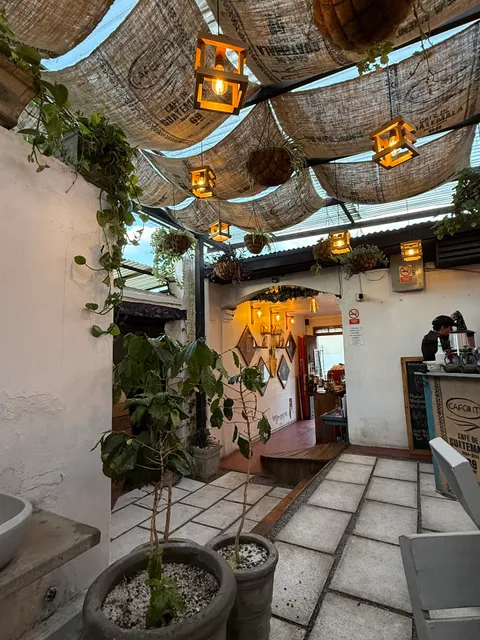 Cafe Cafe Guatemala