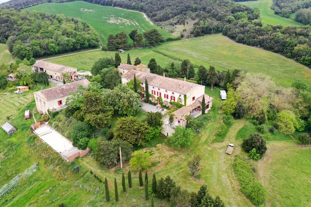 Collectif Mongrenier