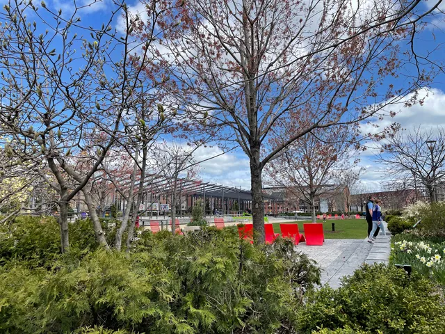 Carolyn Lynch Gardens