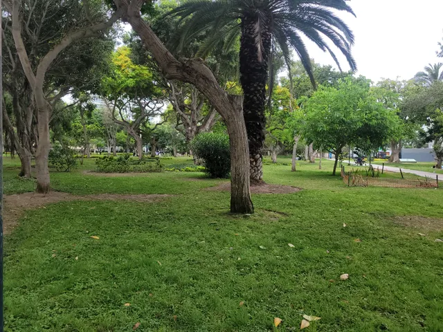 Eduardo Villena Rey Park