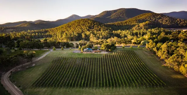 Boat O'Craigo, Yarra Valley