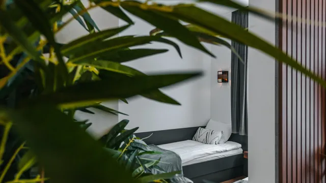 Studio apartmani Albero