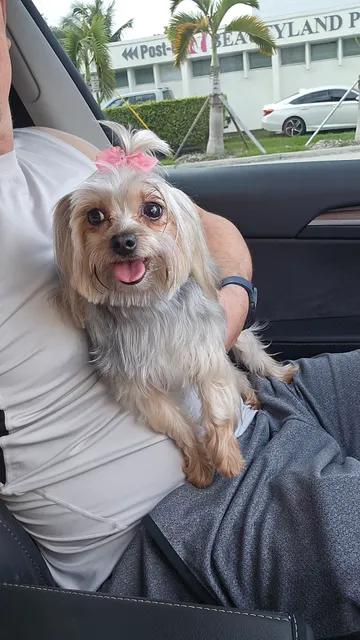 European Pet Grooming Salon