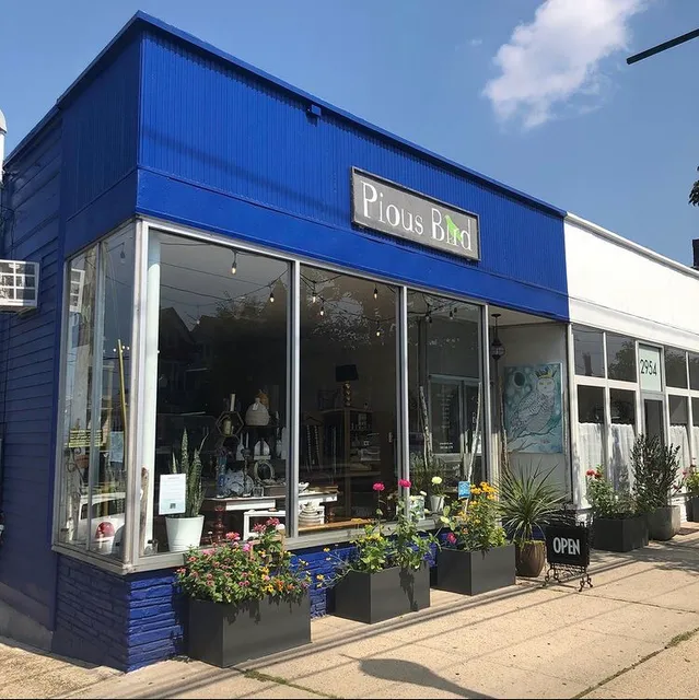 Pious Bird of Good Omen