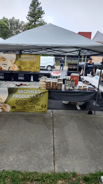 The Cotati Accordion Festival