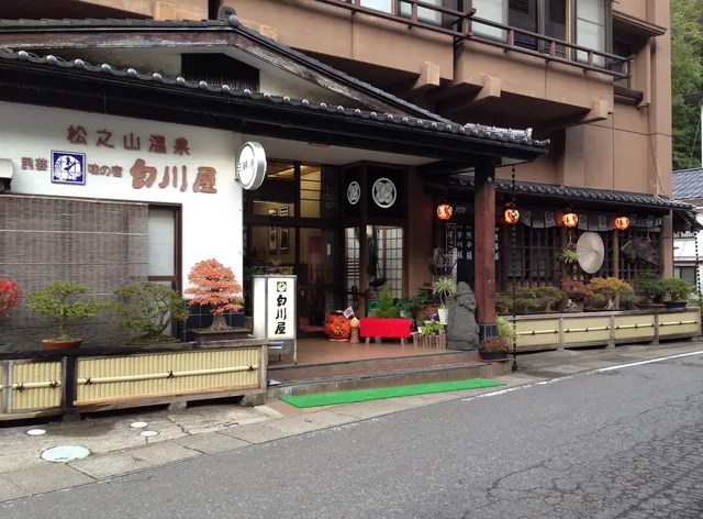 松之山温泉 白川屋