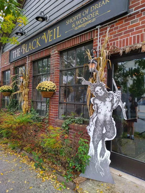 Black Veil Shoppe of Drear & Wonder