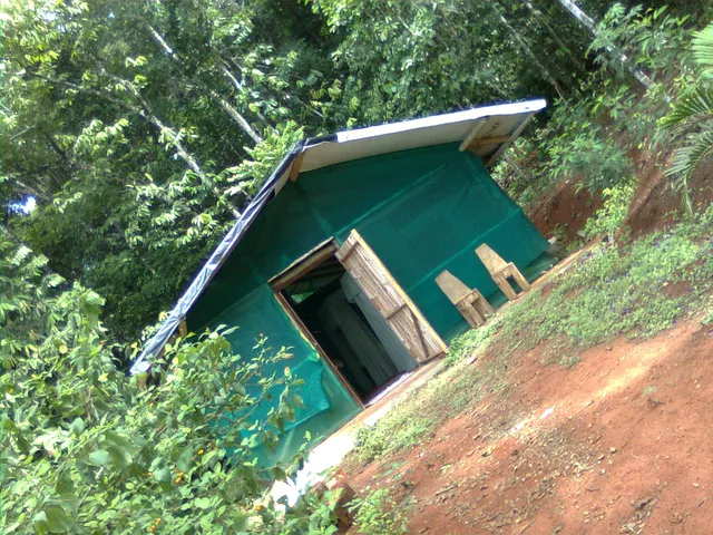 Isla Violin Eco-Lodge