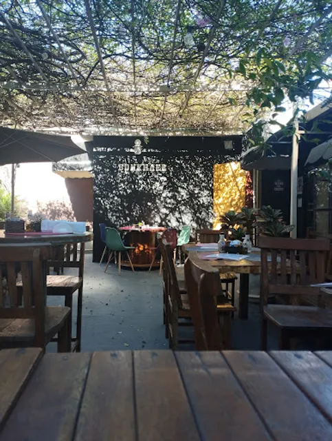 Bonkhafe Cafeteria e Bistrô