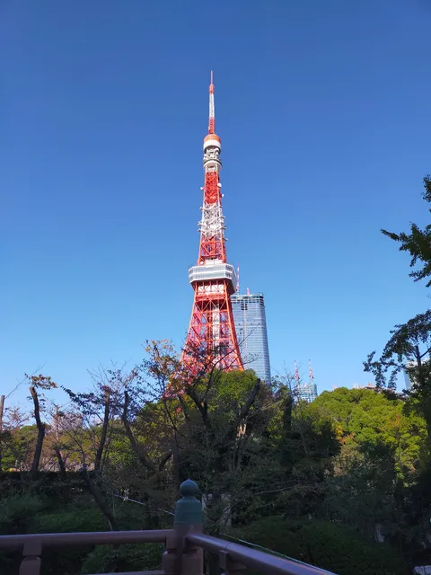 東京タワー（公園下）