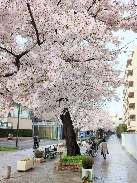 Kuhonbutsu River Green Way