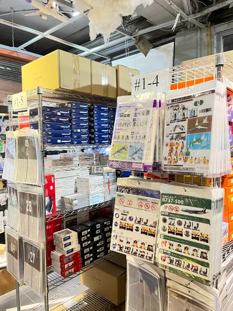 Remove Before Flight