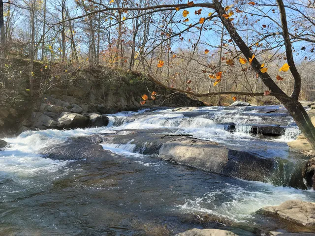 Patapsco Valley State Park- McKeldin Area