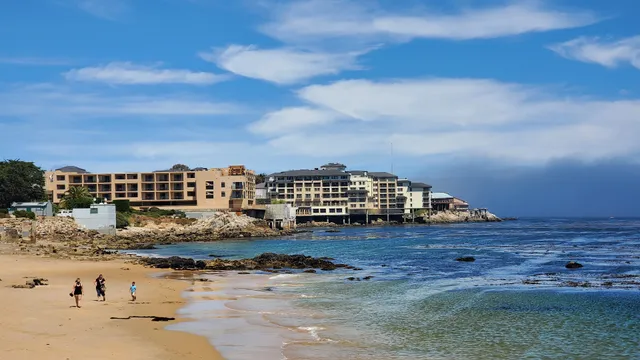 Kayak Rentals & Tours