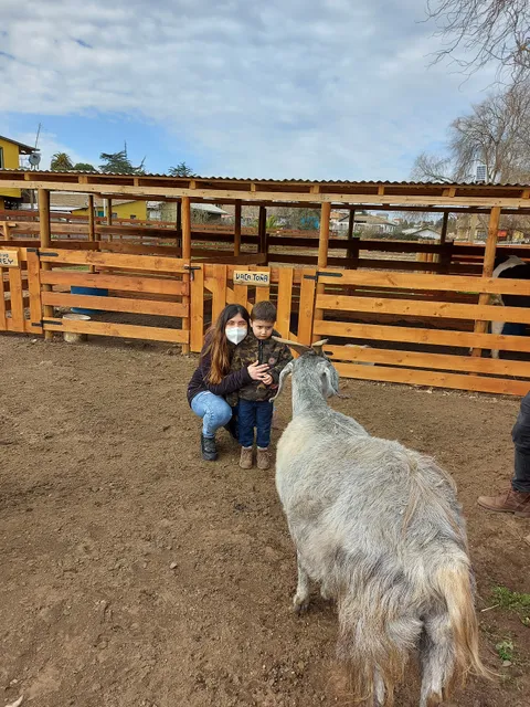 Cabañas granja central