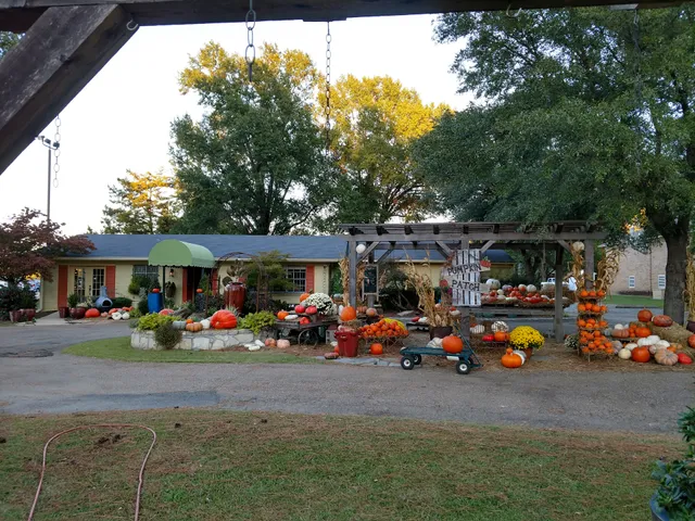 H&N Floral, Gifts & Garden