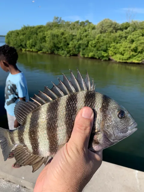 Wet Lines Bait and Tackle