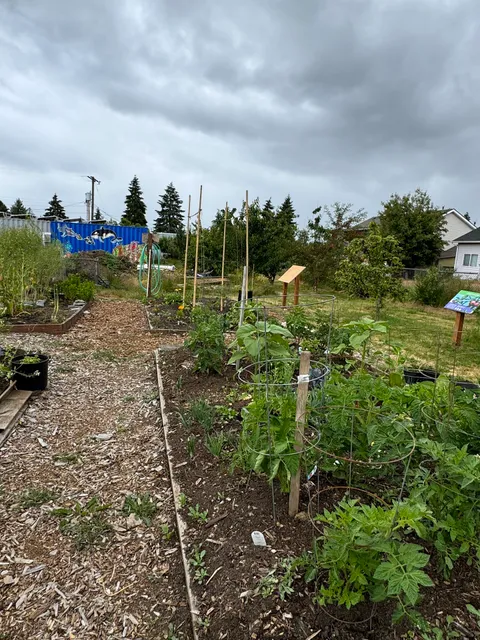 New Start Community Garden aka Shark Garden