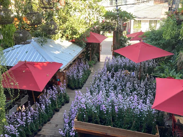 Airniversary Chiang Mai