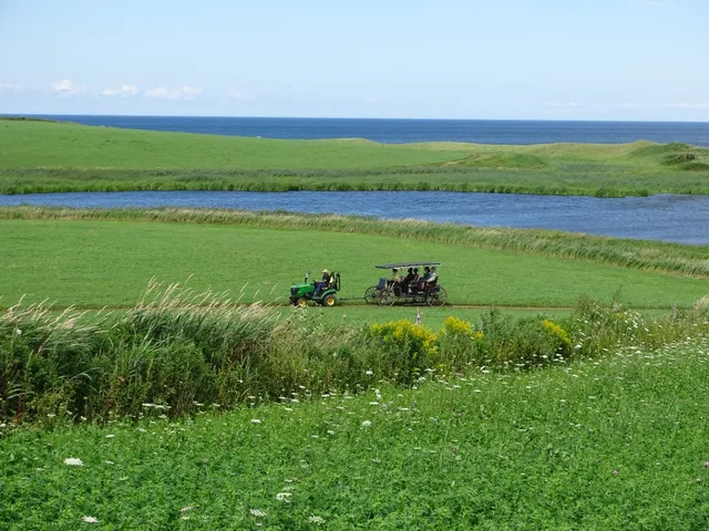 Matthew's Carriage Ride