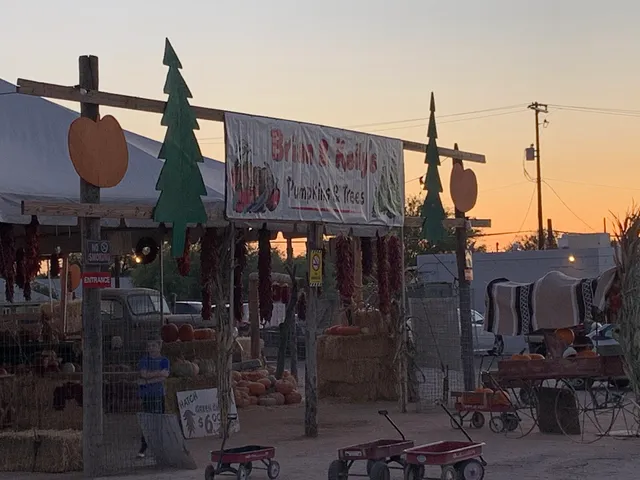 Brian and Kelly's Pumpkins & Trees