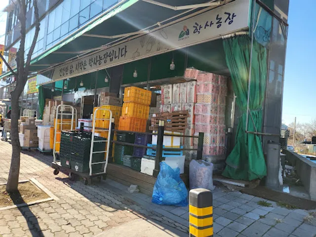 나주곰탕 노안집 서구점