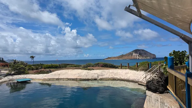 Aloha Kai - Sea Life Park Luau