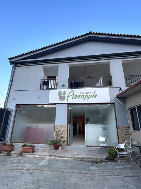 Pension Pineapple