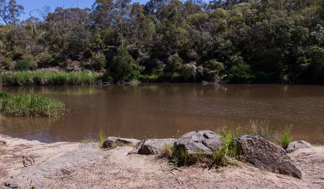 Warrandyte State Park (Parks Victoria)