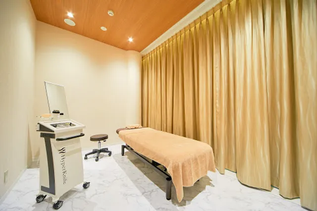 Premium Body Balance Ginza