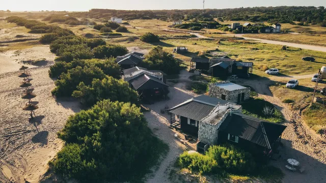 Bisonte Cabañas de Mar