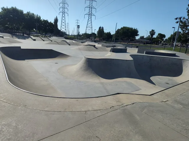 Lions Skate Park